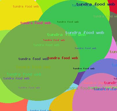 TUNDRA FOOD WEB